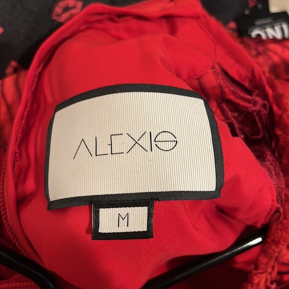 Alexis Franchesca Florl Red Lace Mini Dress M - Picture 10 of 11
